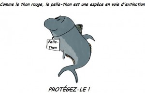 Atelier & jeu libre du mercredi soir @ Maison de Quartier de la Grette-Butte