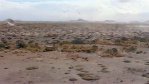 Stage d’Échecs Jeunes @ Maison de Quartier Grette-Butte Besançon